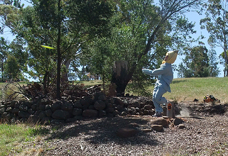 Disc Golf New Zealand